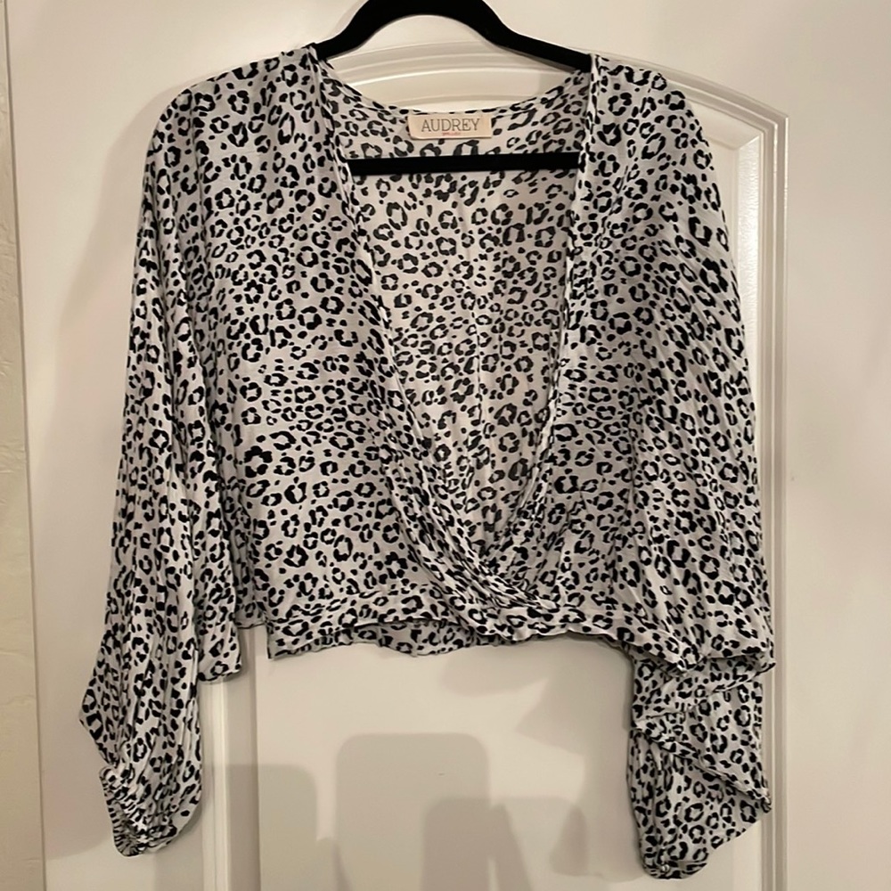Audrey 3plus1 low v neck crop top